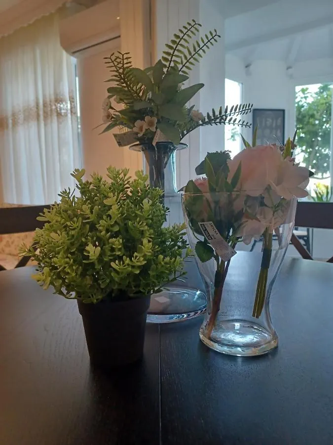 Nuevo Loft El Carpintero Apartment Vejer de la Frontera